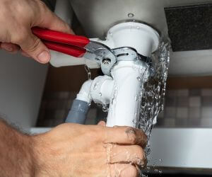 About Water Leak Detection Pros Watson, IL
